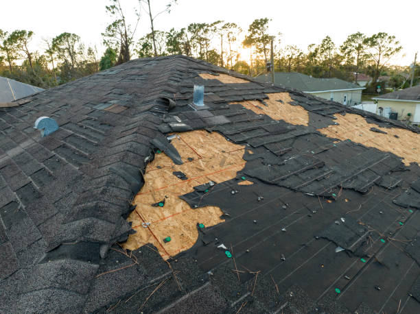 Best Asphalt Shingles Roofing  in Quinnipiac University, CT